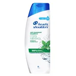 Head & Shoulders Anti Dandruff Shampoo